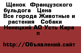 Щенок  Французского бульдога › Цена ­ 35 000 - Все города Животные и растения » Собаки   . Ненецкий АО,Усть-Кара п.